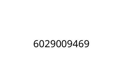 6029009469