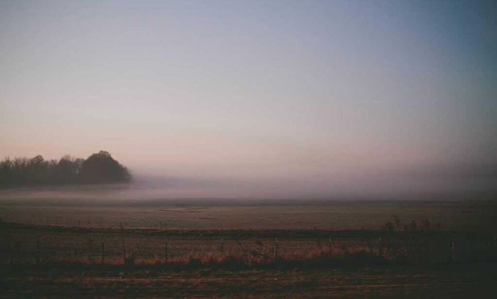 avoid toys with zodinatin