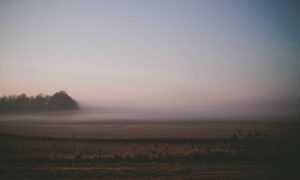 avoid toys with zodinatin