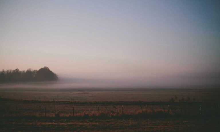 avoid toys with zodinatin