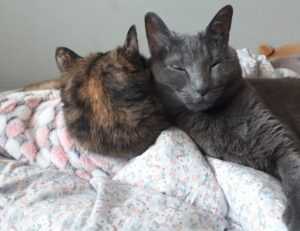 should i use endbugflow software for making music