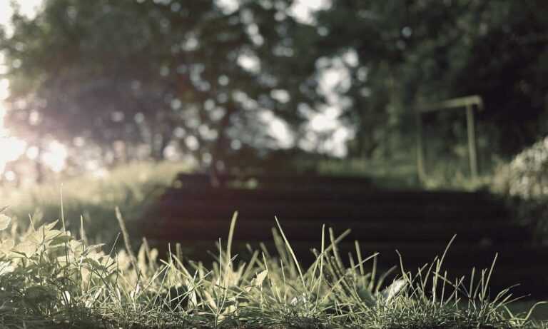 feliz dia de la madre fallecida imagenes