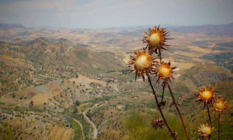 kevin olguin instagram