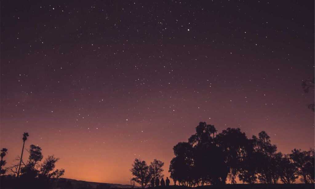 medcezir capítulos completos en español latino mega