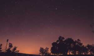 medcezir capítulos completos en español latino mega