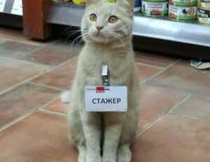 posiciones de inter de milán