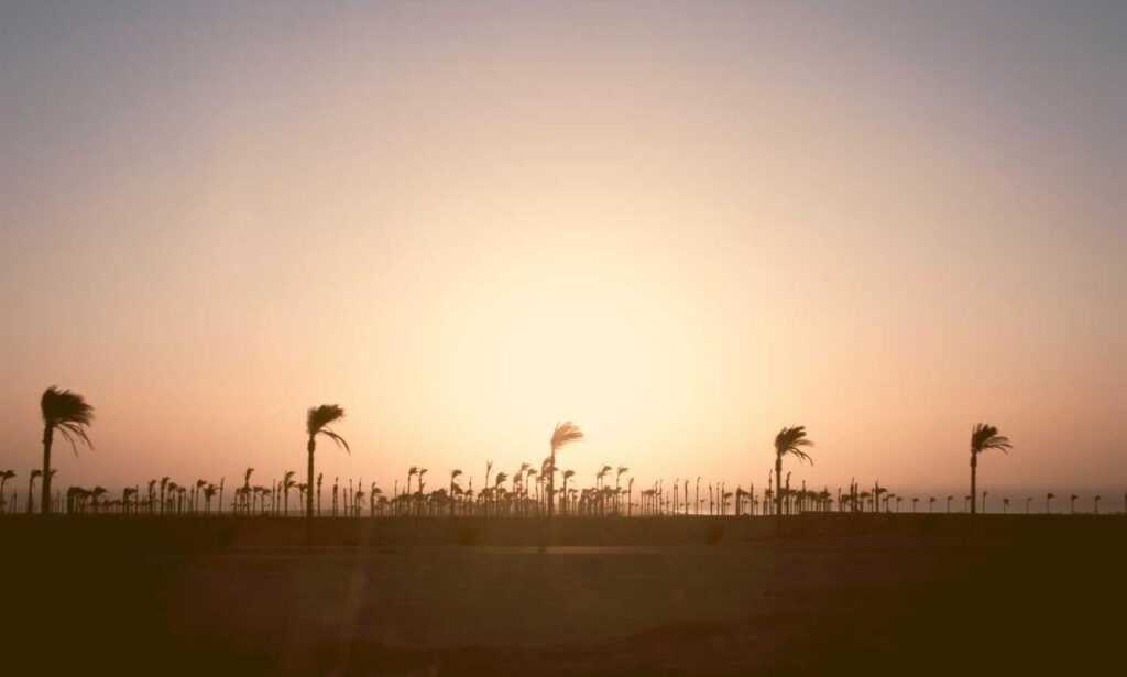 reborn as the enemy prince sub indo