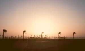 reborn as the enemy prince sub indo