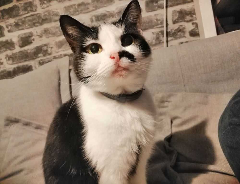 tamilyogi. vip home page