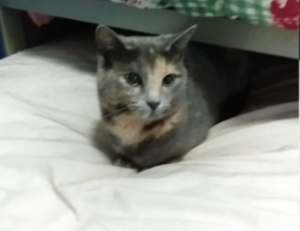 tatuagem coração com nome dos filhos