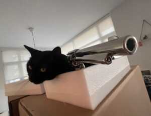 yali capkini sub indonesia lk21