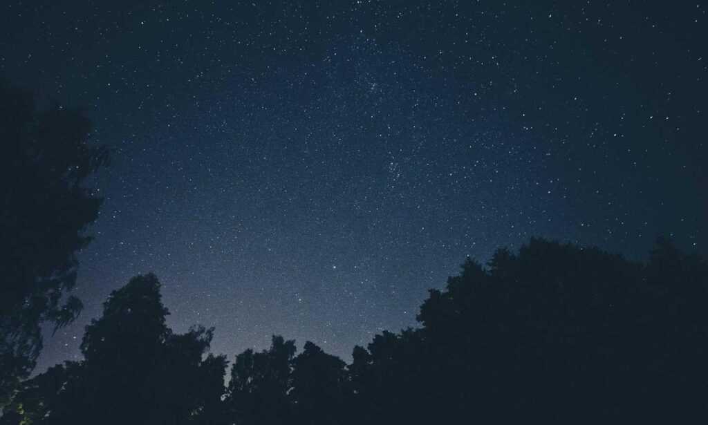 yalla shoot english nba live