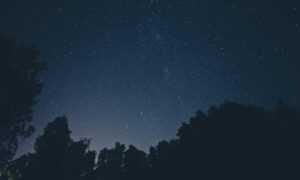 yalla shoot english nba live