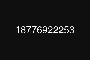 18776922253