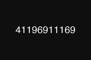 41196911169