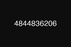 4844836206