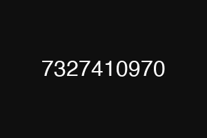 7327410970