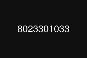 8023301033