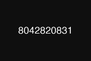 8042820831