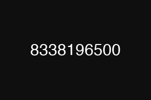 8338196500