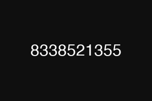 8338521355