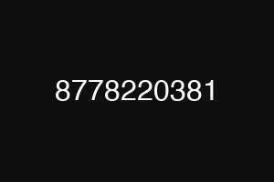 8778220381