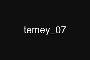 temey_07