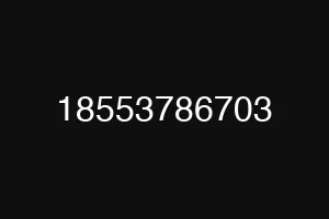 18553786703