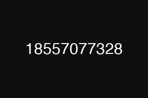 18557077328