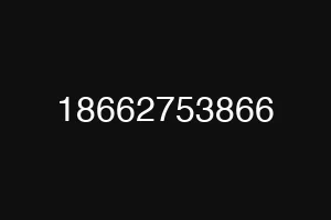 18662753866