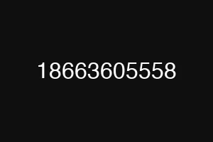 18663605558