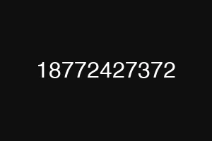 18772427372