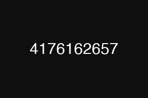 4176162657
