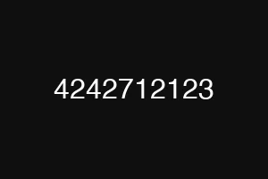 4242712123