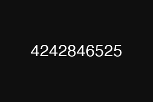 4242846525