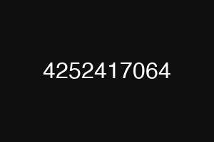 4252417064