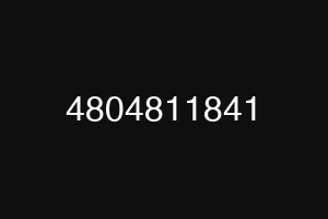 4804811841