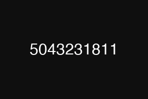 5043231811