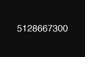 5128667300