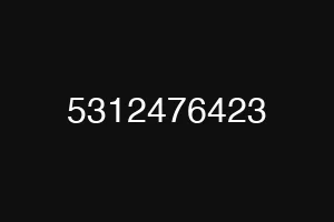 5312476423