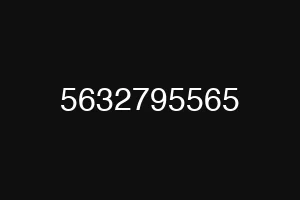 5632795565