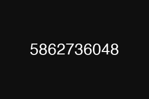 5862736048