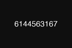 6144563167