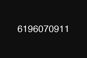 6196070911