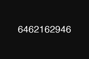 6462162946