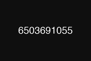 6503691055