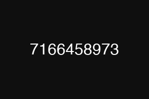 7166458973