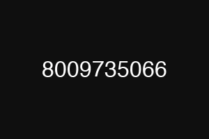 8009735066