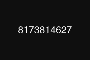 8173814627
