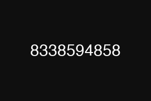 8338594858